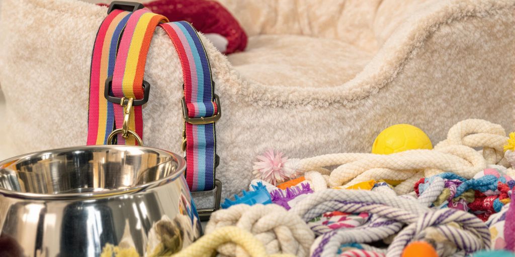 Must-Have Accessories: Essential Pet Supplies Comfort for Everyday Use